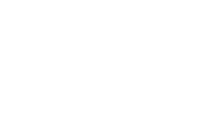 WIZMO